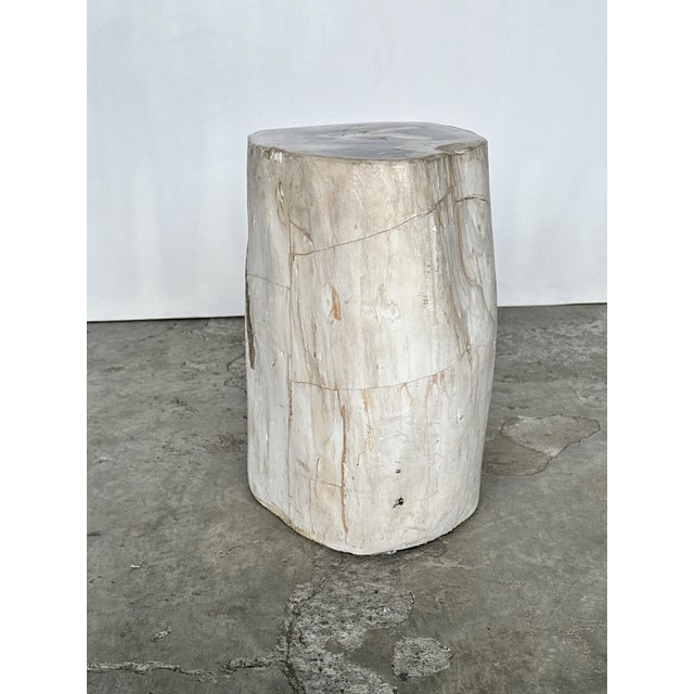 White Side Table in Petrified Wood For Sale - Image 8 of 18
