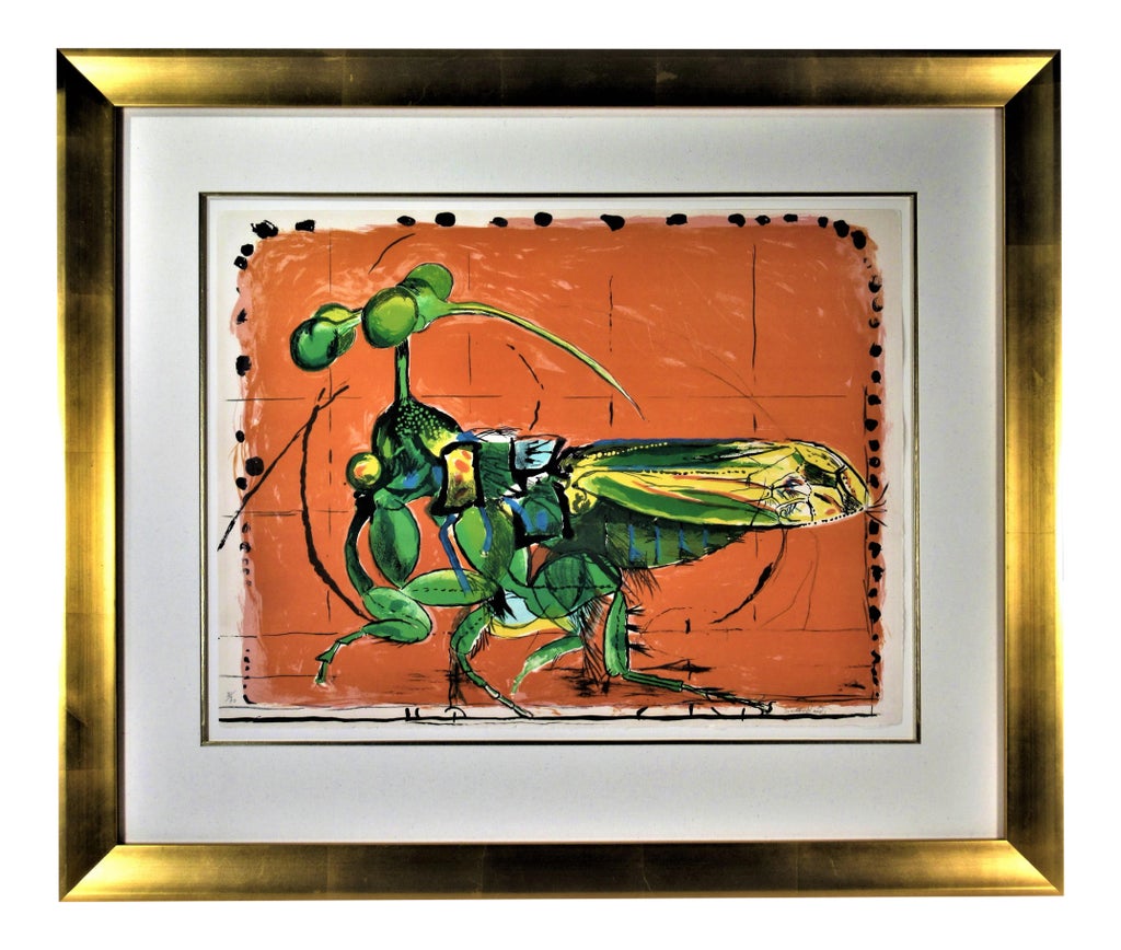 graham-sutherland-insect-