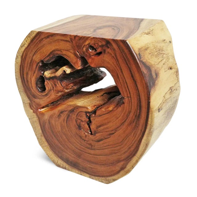 Organic Monkey Pod Hole Side Table For Sale In Los Angeles - Image 6 of 9