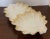 Late 19th Century Antique Porcelain Shell Serving Dish 19th C. Gold Gilt For Sale - Image 5 of 12