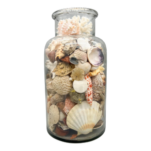 Large Vintage Glass Jar Filled With Shells and Stones – Coastal / Natural Curiosities / Eclectic