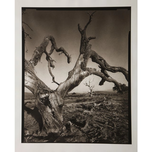 "Tejon Ranch, Lancaster, CA, 2004" platinum Palladium print by renowned portrait photographer Mark Seliger (b. 1959)....