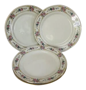 Vintage Johann Haviland China Primrose Dinner Plates- Set of 4