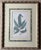 Realism Antique Fern Botanical Prints-Custom Framed-Set of 3 For Sale - Image 3 of 6