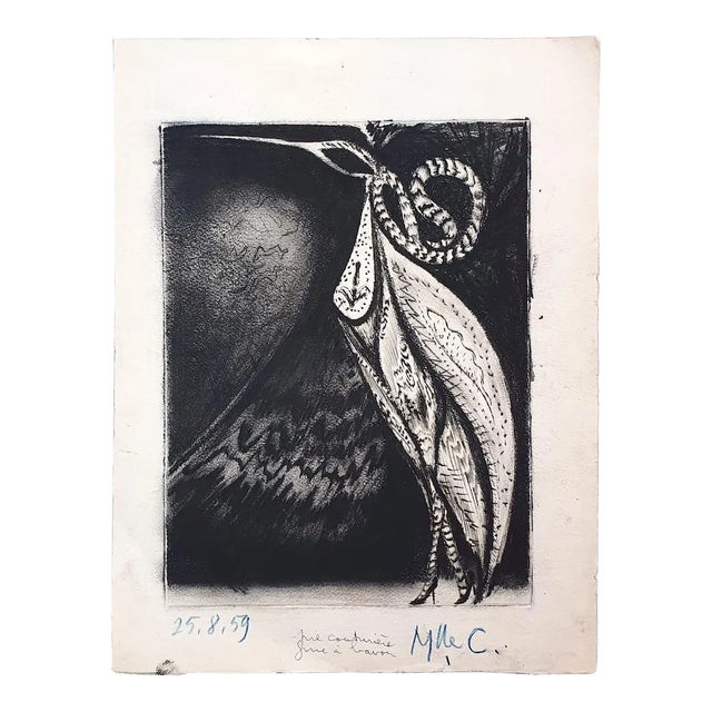 Bird - Original Etching by Marcel Guillard - 1959 1959 For Sale