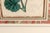 Antique Botanical Prints of Geranium by Robert Sweet For Sale - Image 17 of 18