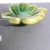 Mid-Century Modern Seguso Vintage Mid-Century Murano Leaf Tray For Sale - Image 3 of 7