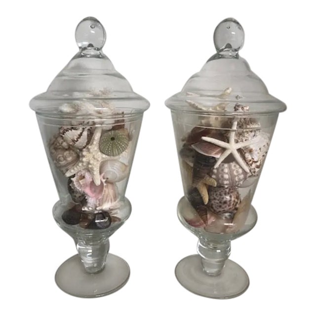 Handblown Gllass Apothecary Shell Jars For Sale