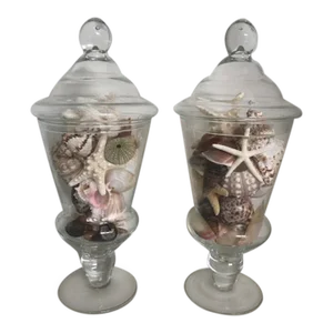 Handblown Gllass Apothecary Shell Jars