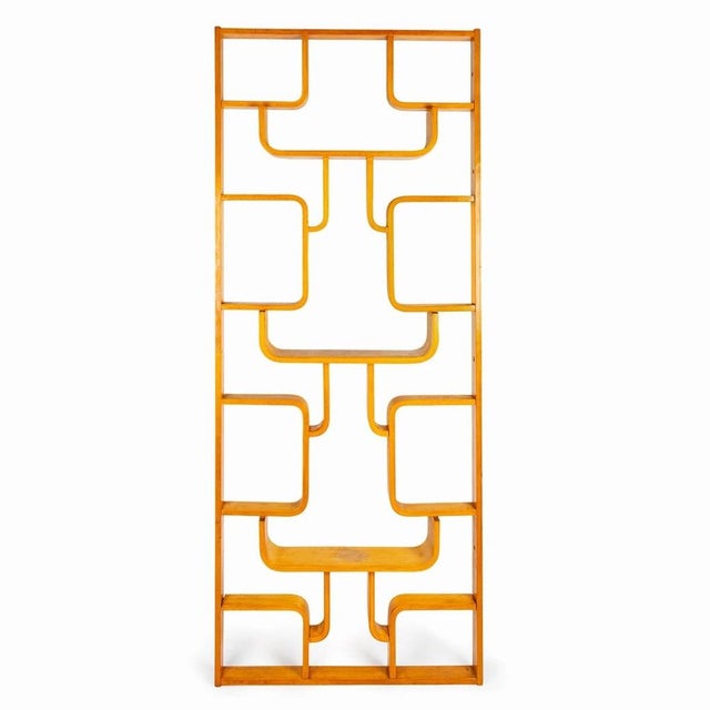 Flower Wall Unit or Room Divider attributed to Ludvik Volak, 1960s For Sale - Image 9 of 9