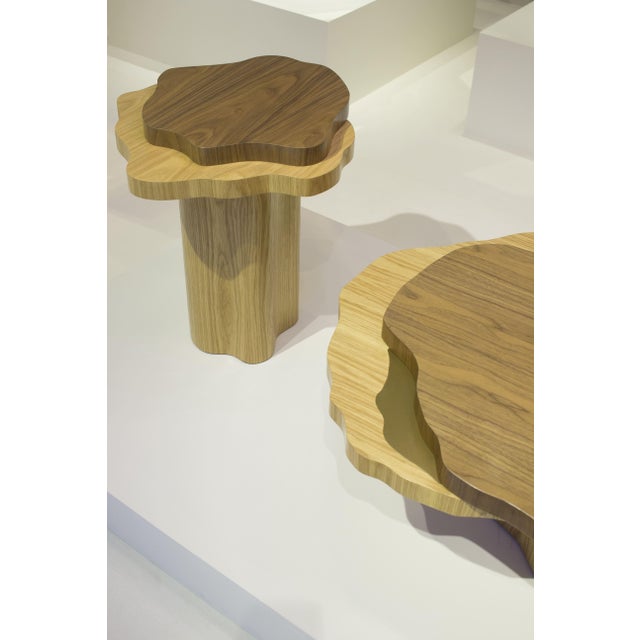 Arizona Coffee Table in Wood Veneers from InsidherLand For Sale - Image 9 of 12