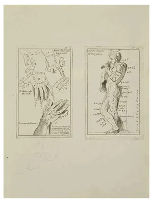 Nicholas Cochin, Anatomy Studies, Etching, 1755