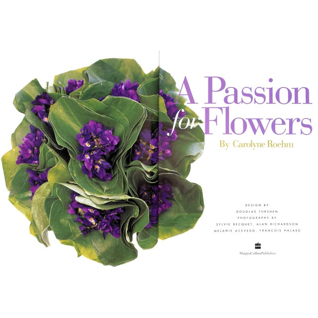 ROEHM, Carolyne Inscribed on half-title page [288] pp. HarperCollins Publishers 1997 12" x 9 3/8" Nothing lights up a room...