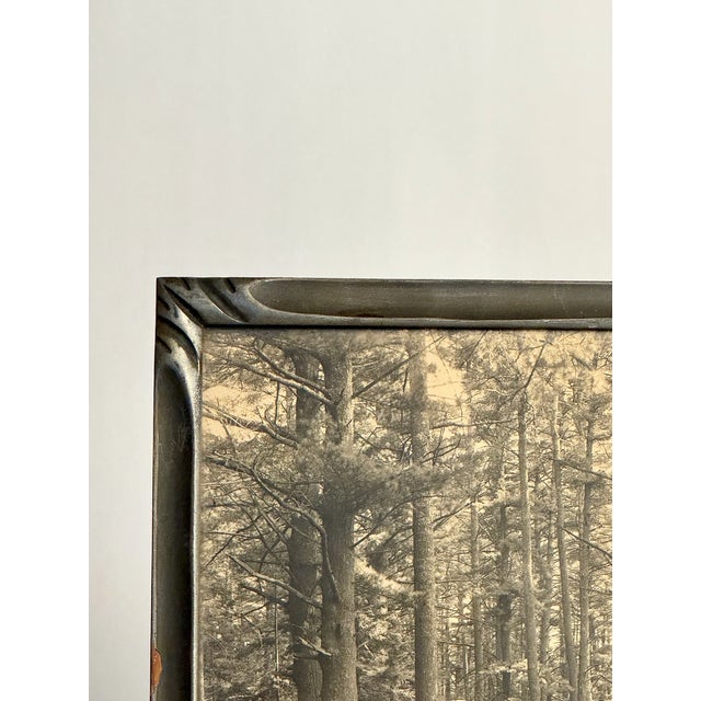 Antique B/W photograph of "Cathedral Woods" circa 1920s. Framed in North Conway, NH. Great art deco frame, and forest...