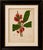 Title: antique wax apple blossom botanical chromolithograph by hoola van nooten, c. 1880 : a magnificent original antique...