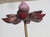 Brass Chinese Enamel on Brass Lotus Flower For Sale - Image 8 of 9