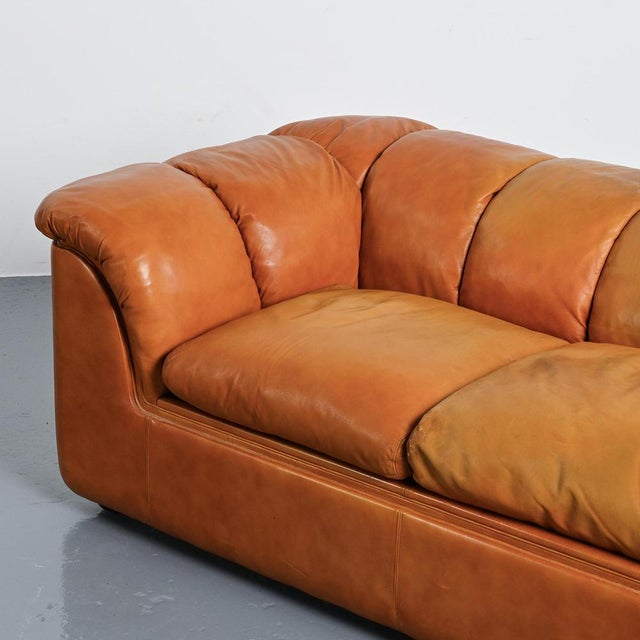Brown Cocker Leather Sofa by Franco Bresciani for Poltrona Frau, 1970s For Sale - Image 8 of 16