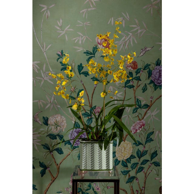 American Winterthur for Port 68 Acanthus Stripe Green Planter For Sale - Image 3 of 6