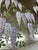 Single Hand Painted Silver Leaf Chinoiserie Wallpaper Panel, Wisteria Floral Mural, Custom Size Available For Sale - Image 6 of 6
