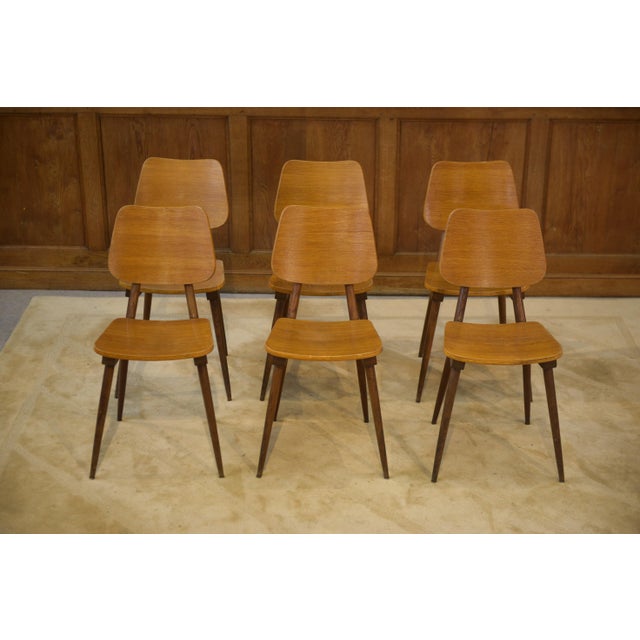 Vintage Chairs in Oak, 1960s, Set of 6 For Sale - Image 6 of 13