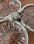 Vintage Glass and Stainless Steel Appetizer Platter, 1970s For Sale - Image 6 of 13