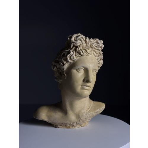 Statue of the head of Apollo. Made of concrete. Late 20th century. Classical Greek/Roman style. Dimensions: 47H x 37W x 28D