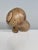 Gustavsberg Africa Series Lion in Ceramic by Lisa Larson for Gustavsberg, Sweden, 1960s For Sale - Image 4 of 18
