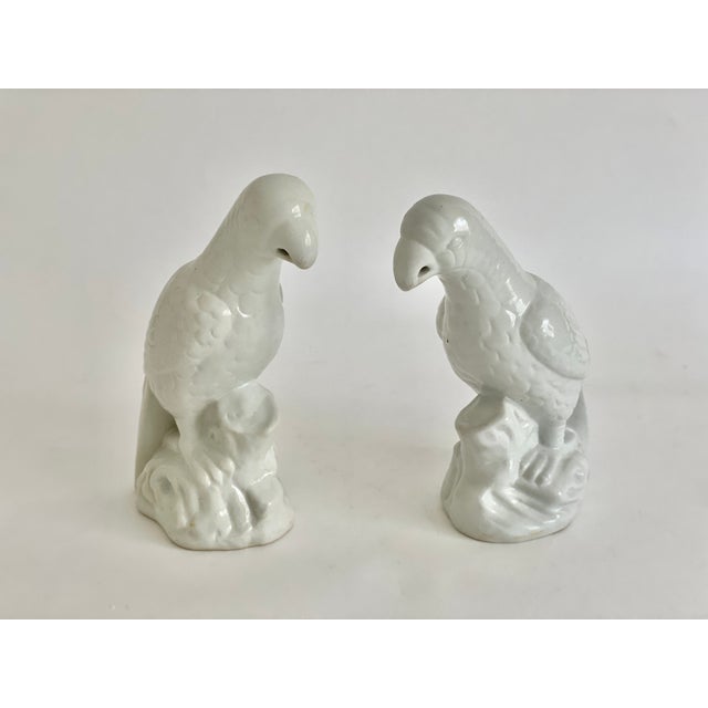 Early 20th Century Vintage Blanc De Chine Porcelain Parrots - A Pair For Sale - Image 5 of 7