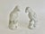 Early 20th Century Vintage Blanc De Chine Porcelain Parrots - A Pair For Sale - Image 5 of 7