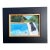 Contemporary Hockney Inspired Black Lab Small Dog Print by Judy Henn Framed For Sale