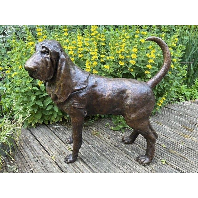 Life-Size Bronze Bloodhound Garden Statue from Christian Maas For Sale - Image 9 of 18