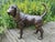 Life-Size Bronze Bloodhound Garden Statue from Christian Maas For Sale - Image 9 of 18