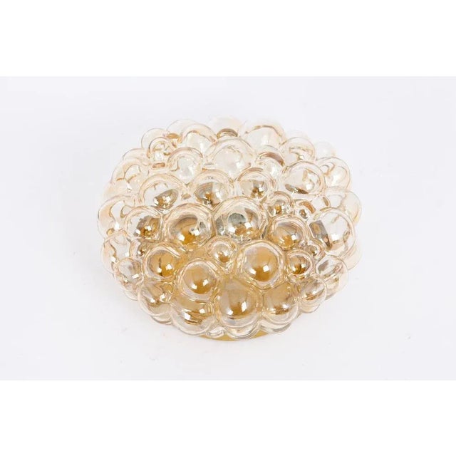 Glass Small Amber Bubble Glass Flush Mount attributed to Limburg, Germany, 1960s For Sale - Image 7 of 8