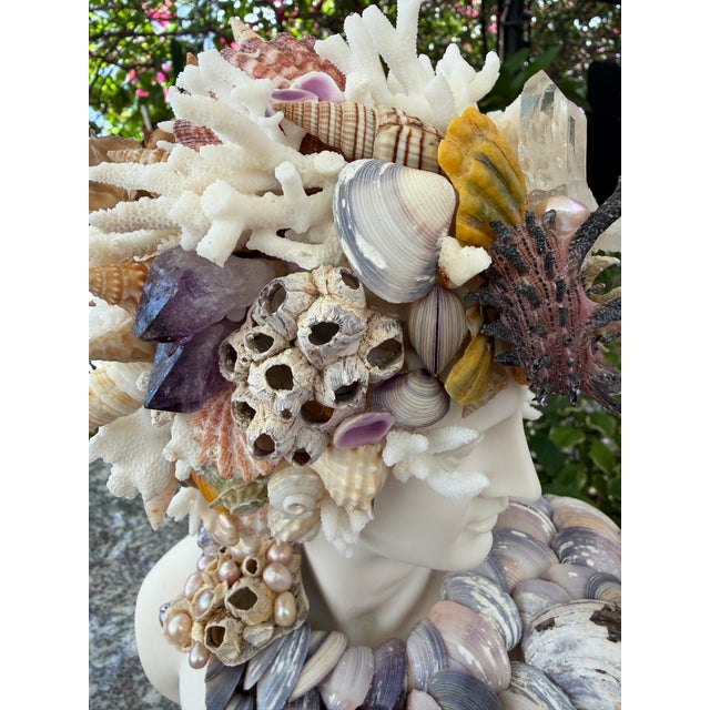 Classical Roman CSS 14"h. Seashells Marble Bust of Apollo For Sale - Image 3 of 7