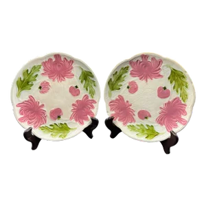 Pair of Early 20th Century Majolica Floral Plates