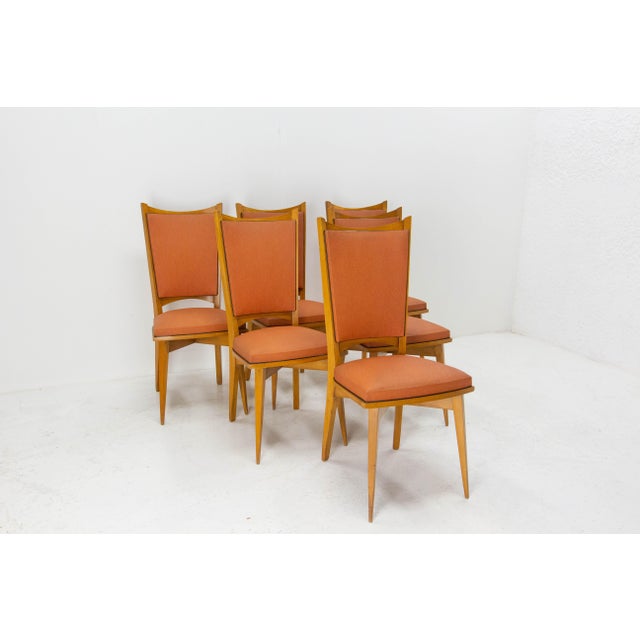 1960s Mid-Century Dining Chairs in Beech and Red Moleskine, France, 1950s, Set of 6 For Sale - Image 5 of 13