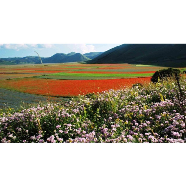 Garden of Italy is one of the best photo on canvas realized by Giuseppe Marani in 2010. Always passionate about landscapes...