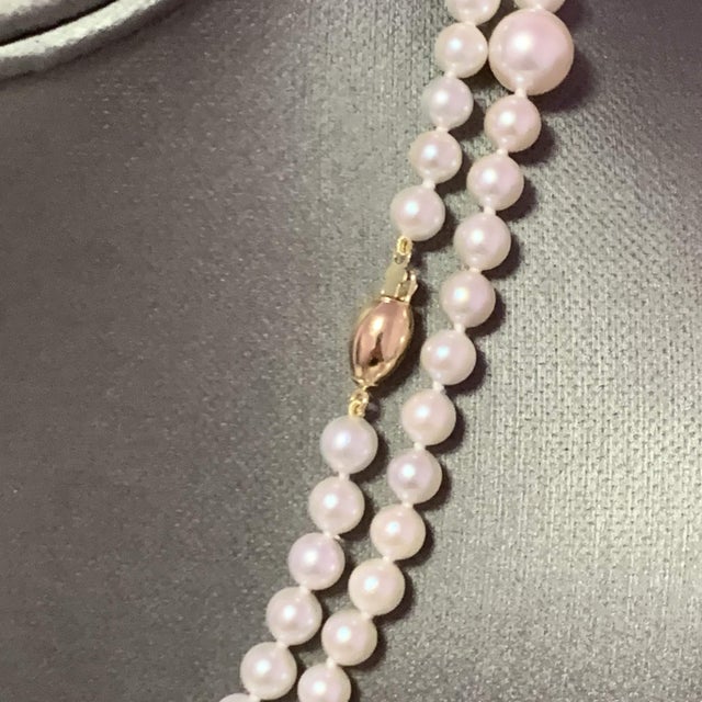Metal Akoya Pearl Necklace 14k Yellow Gold 37.25" 8.5 mm Certified For Sale - Image 7 of 14