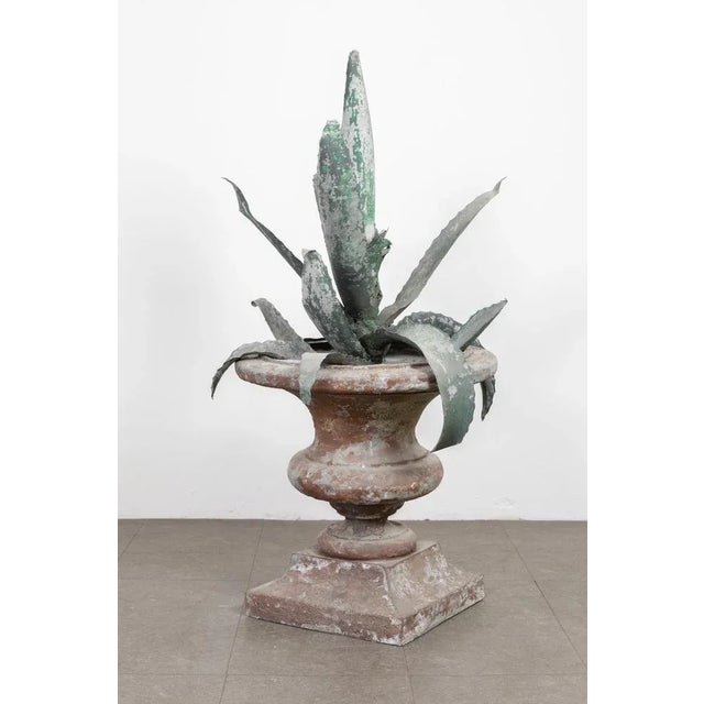 Iron Agave Plant Sculpture, 18th Century For Sale - Image 10 of 10