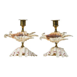 Vintage Natural Seashell and Brass Candlestick Holder Pair For Sale