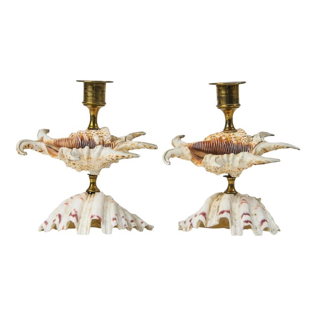 Vintage Natural Seashell and Brass Candlestick Holder Pair For Sale