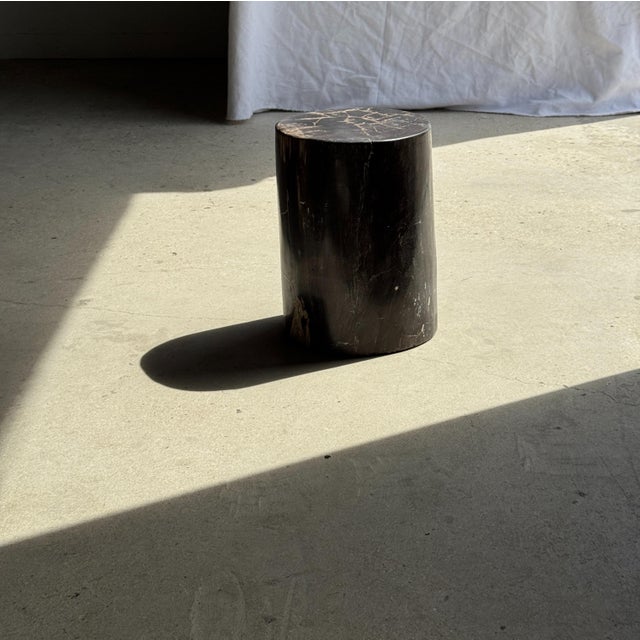 Side Table in Black Petrified Wood with Beige Fine Mesh Pattern For Sale - Image 5 of 18