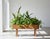 Stylish planter box from the 1960s, crafted in solid oak with an original zinc liner. A beautiful example of Danish mid-...