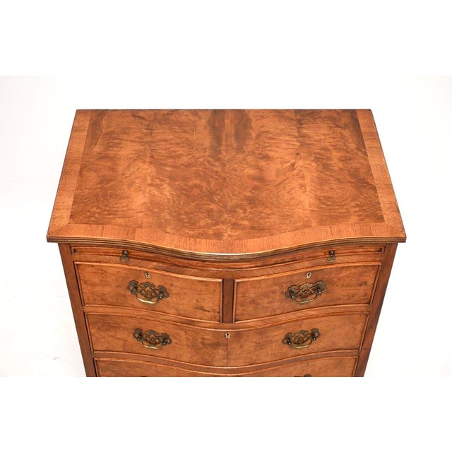 Brown Antique Georgian Burr Walnut Chest of Drawers, 1920s For Sale - Image 8 of 11