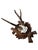 Roe Deer Trophy 182 Black Forest Antlers For Sale - Image 4 of 5