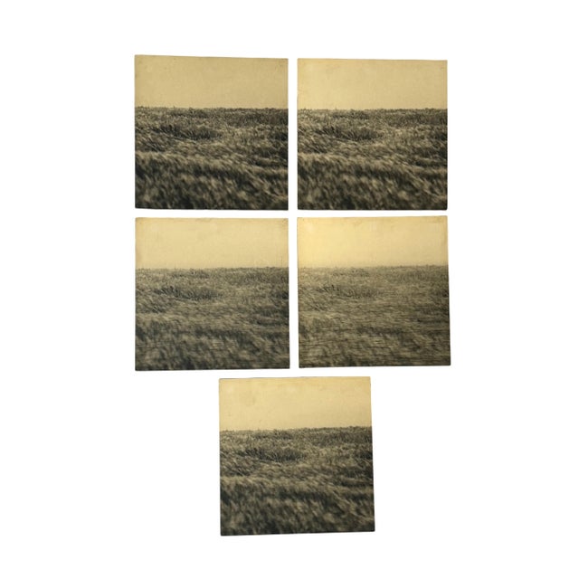 1970s Gerry Hunt, Viewpoint Dima's Head & Seagrass, Photographs Mounted on Wood Panels, 1977, Set of 5 For Sale - Image 5 of 11