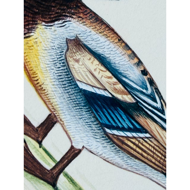 Original Hand-Painted Mallard Painting in a Vintage Frame For Sale - Image 4 of 4