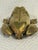 Vintage Cast Brass Frog Hinged Lidded Trinket Box For Sale - Image 4 of 8
