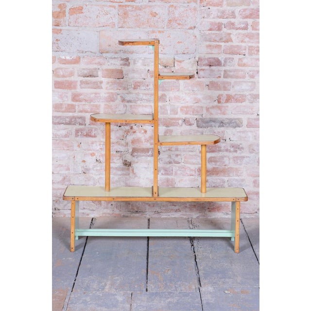 Czech Art Deco Beech and Umakart Shelf, 1930s For Sale - Image 10 of 12