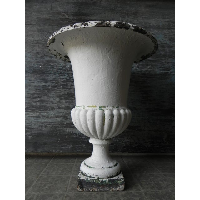 Antique Model Medicis Cast Iron Vase, 1890s For Sale - Image 11 of 11